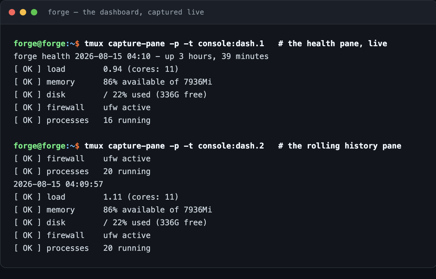 Terminal capture of the two live dashboard panes: the health pane showing OK verdicts for load, memory, disk, firewall and processes, and the history pane showing timestamped snapshots accumulating on disk